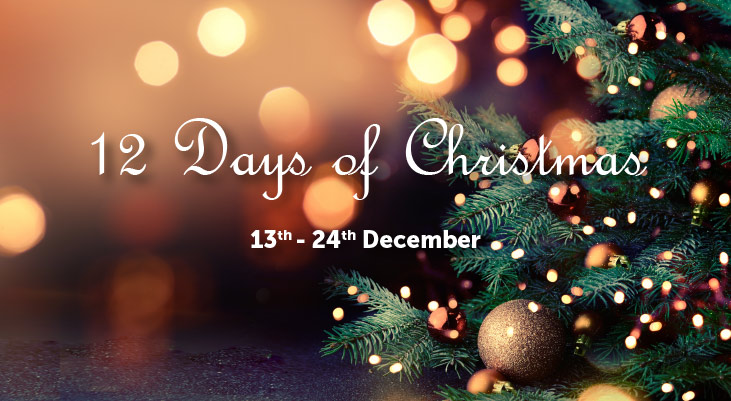 On the first day of Christmas JewelleryMaker gave to me…