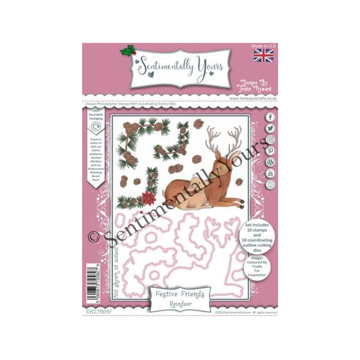 【新品・未開封】アートタペストリー Heartwarming Christmas ポケモンセンター アートタペストリー Pokmon Heartwarming