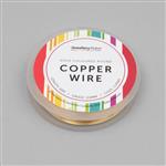 10m Champagne Gold Coloured Silver Plated Copper Wire 0.6mm 