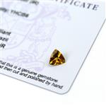 0.75cts Xia Heliodor 7x7mm Triangle  (I)