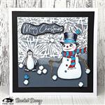 Visible Image Frosty Stencil