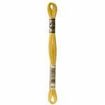 DMC Mouline Stranded Cotton Yellow 3821 (8m)