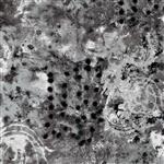 Spotted Graffiti Overnight Extra Wide Backing Fabric 0.5m (274cm)