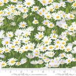 Moda Wildflowers Daisies Floral Cloud Fabric 0.5m