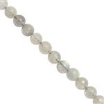 60cts Labradorite Smooth Round Approx 5mm 25cm Strand
