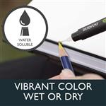 Derwent Inktense Permanent Watercolour Pencils Tin of 24