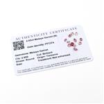 Dealer's Dozen 2.65cts Malaya Garnet Round Pack of 12 (N)