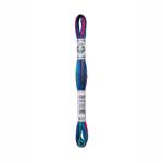 DMC Mouline Coloris Stranded Cotton Multi Blue/Red 4507 (8m) 