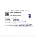 1.5cts Bengal Iolite 8x6mm Oval Pack of 2 (N)