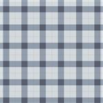 Marcia Cornell Gingham Foundry 2021 Squares Mist Fabric 0.5m