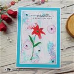 Visible Image Beautiful Life 4x6