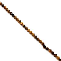 70cts Tigers Eye Faceted Bicones Approx 6mm, 38cm Strand