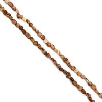 387cts Picture Jasper Nuggets Approx 5x6 - 8x9mm, 60" Endless Necklace
