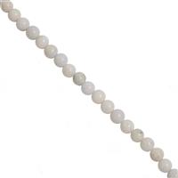 525cts Type A White  Jadeite Rounds Approx 12mm, 36cm Strand