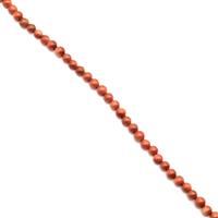 80cts Golden Goldstone Plain Rounds Approx 6mm, 35cm strand