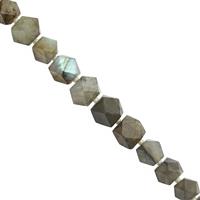 95cts Labradorite Graduated Faceted Fancy Beads Approx 4 to 8mm, 24cm Strand