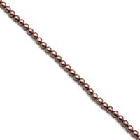 Bronze Shell Pearl Plain Rounds Approx 6mm, 20cm Strand