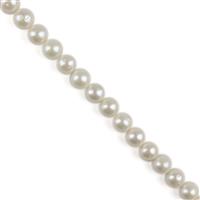 White Freshwater Cultured Nucleated Round Pearls Approx 11-12mm, 38cm Strand