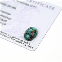 3.6cts Egyptian Turquoise 14x10mm Oval (CP)