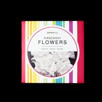 Kanzashi Flowers DVD (PAL)