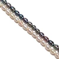 Freshwater Cultured Rice Pearls Approx 3-5mm, 38cm Strand (2 Strands: Peacock & White)