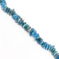 320cts Neon Apatite Flat Nuggets Approx 8x12mm, 38cm Strand