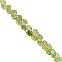35cts Red Dragon Peridot Side Drill Graduated Faceted Onion Approx 2.5x3 to 6x6.5mm, 15cm Strand with Spacer