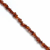 Baltic Cognac Amber Chips Approx 2x5mm to 4x11mm, 38cm Strand