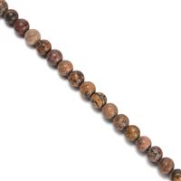 45cts Chinese Picture Jasper Plain Rounds Approx 4mm, 38cm Strand