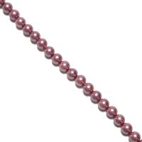 Pale Raspberry Shell Plain Rounds Approx 6mm, 38cm Strand