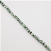 173cts Forest Green  Jasper Plain Round Approx 4mm, 1 Meter Strand
