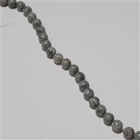 270cts Grey Picture Plain Round Jasper Strand; approx. 10mm, 38cm 
