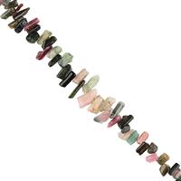 125cts Multi-Colour Tourmaline Graduated Rough Slices Approx 6x3 to 16x5mm, 22cm Strand.