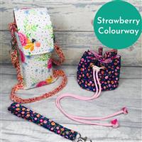 Living in Loveliness Fabulously Fast Fat Quarter Fun Issue 13 Sew Out and About; 4 x Riley Blake FQs Strawberry 