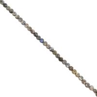 90cts Labradorite Faceted Coins Approx 8mm, 38cm Strand