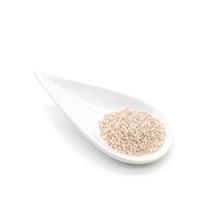 Miyuki Delica Silver Lined Pale Peach Opal 11/0 Seed Beads (7.2GM/TB)