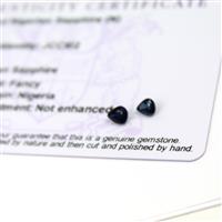 0.55cts Nigerian Sapphire 5x4mm Fancy Pack of 2 (N)