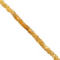 45cts Heliodor Graduated Faceted Rondelle Approx 3x2 to 4.5x2.5mm, 32cm Strand