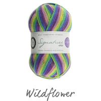 WYS WildflowerWinwick Mum Signature 4 ply Yarn 100g