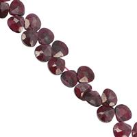 46Ct Rhodolite Garnet Top Side Drill Graduated Faceted Heart Approx 5mm, 15cm Strand With Spacers