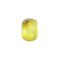 Caribbean Green Amber 18x12mm Cabochon With Insect (1pc)
