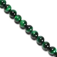 370 cts Dyed Green Tiger eye Plain Rounds Approx 12mm,38cm Strand