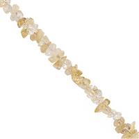 530cts Citrine Bead Nugget Approx 4x2.5 to 13x4mm, 100inch Strand