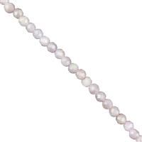 25cts Kunzite Faceted Rounds Approx 3mm, 38cm Strand