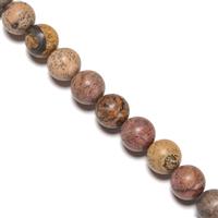 360cts Chinese Picture Jasper Plain Rounds Approx 12mm, 38cm Strand