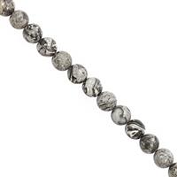 150cts Grey Map Jasper Smooth Round Approx 8mm, 30cm Strand