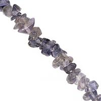 90cts Iolite Bead Nugget Approx 3x1.5 to 6x3mm, 32" Strand