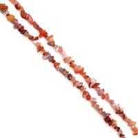 280cts Carnelian Small Nuggets Chips Approx 4x5 - 7x12mm, 85cm Strand
