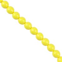 Shiny Yellow Squash Czech Glass Round Beads, 6mm (40cm)