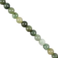 100cts  Mutli Colour Oil Green Plain Rounds Approx. 6mm, 38cm Strand